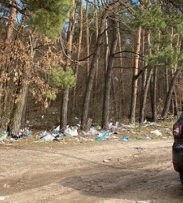 У лісах неподалік Волині уже збирають гриби (Фото)