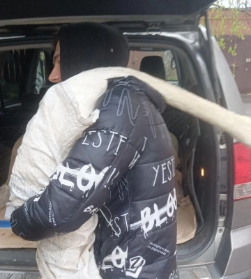 У лебедя із полтавського дендропарку стріляли