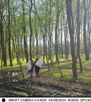 У лісах неподалік Волині уже збирають гриби (Фото)