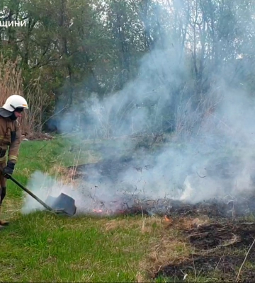 На Сумщині рятувальники неодноразово ліквідовували загоряння в екосистемах