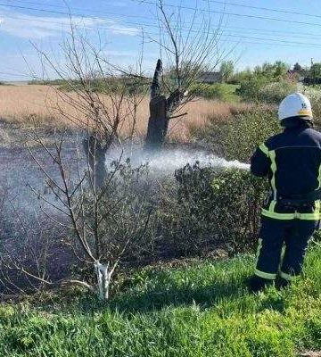 Чотири пожежі в екосистемах за добу: мешканці Миколаївщини масово випалюють очерет