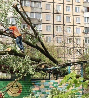 На Дніпропетровщині вітер зносив дахи та виривав дерева (Фото)