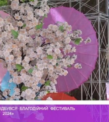 В Ужгороді відбувся благодійний фестиваль «Сакура фест-2024»