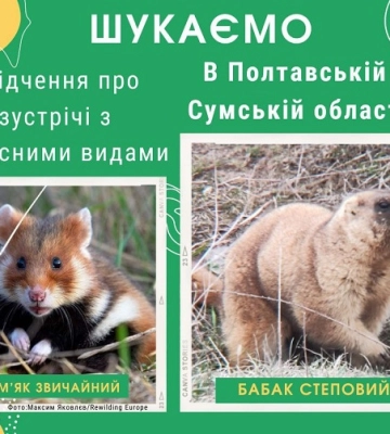 Науковці шукають свідчення про червонокнижних тварин на Сумщині