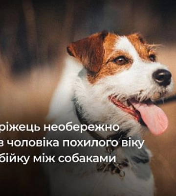 Рознімаючи бійку між собаками, криворіжець вдарив чоловіка похилого віку: як його покарали