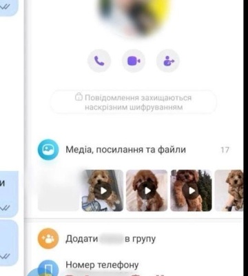 Мальтіпу, шпіц, чихуахуа: на Одещині жінка продавала в інтернеті неіснуючих породистих цуценят та кошенят