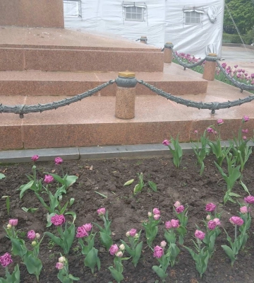 Рівняни масово крадуть квіти