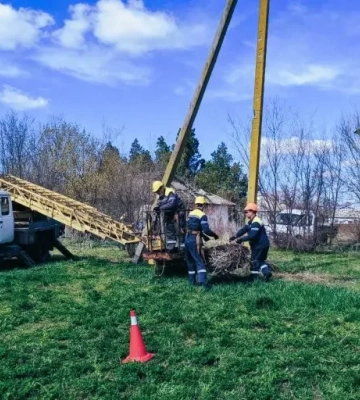 Лелеки повернулися на гнізда, які укріпили енергетики ДТЕК Дніпровські електромережі