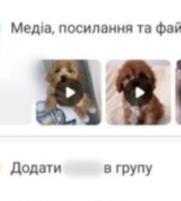 Продавала неіснуючих породистих кошенят та цуценят: жительку Одеського району підозрюють у шахрайстві