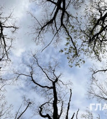 Хмарно та значні дощі: прогноз погоди на 18 квітня
