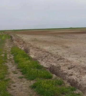 На Херсонщині припинили нецільове використання земельних ділянок вартістю 41 мільйон гривень