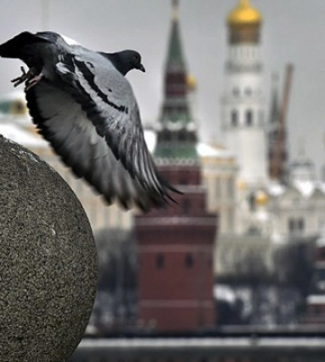 У п’яти областях Росії скасували паради на 9 травня