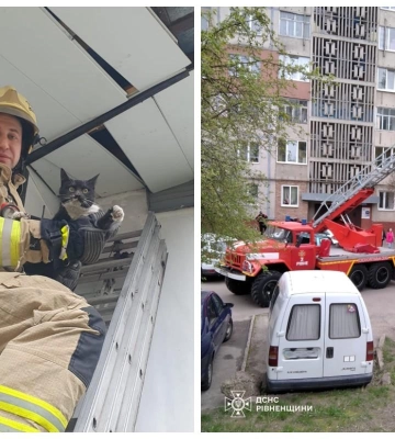 У Рівному надзвичайники двічі допомагали громадянам у порятунку тварин