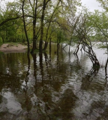 У Києві рівень води в Дніпрі за добу піднявся на 46 сантиметрів: чи є загроза підтоплення
