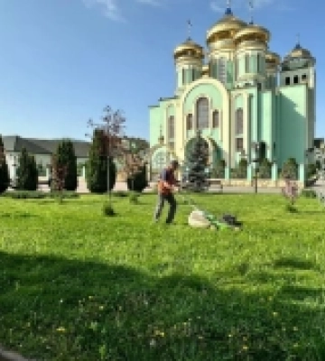 Місто зазеленіло: розпочали роботи з благоустрою зелених зон Хуста