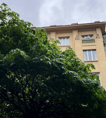Не лише в горах: на Прикарпатті прогнозують заморозки й мокрий сніг