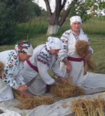 Хліб з чорнушкою і фестиваль Світязьких пончиків: до переліку нематеріальної спадщини Волині внесли п&#039;ять елементів