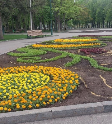 Які клумби будуть у центрі Харкова: комунальники показали перші фото
