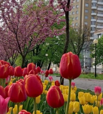 Україну накриє значне похолодання: якою буде погода у Дніпрі 19 квітня