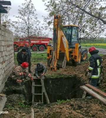 На Одещині корова впала у вигрібну яму