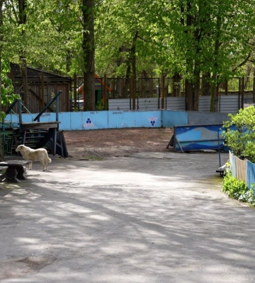 У Шодуарівському парку з’являться нові дитячі атракціони