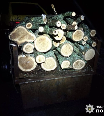 Взимку спиляли дерева на Харківщині: двом чоловікам «світить» до 5 років тюрми