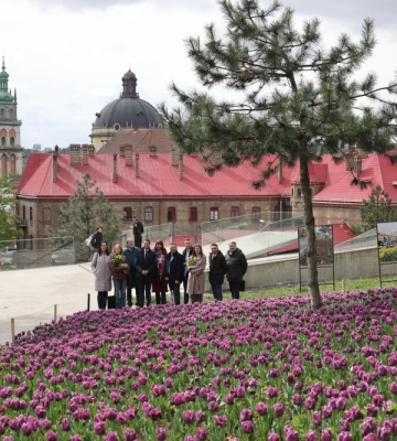 Нідерландський Львів. У місті розквітло 200 тисяч тюльпанів 