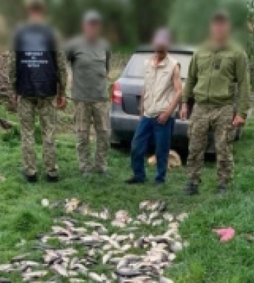 Улов на мільйон: Білгород-Дністровські прикордонники виявили на озері браконьєра