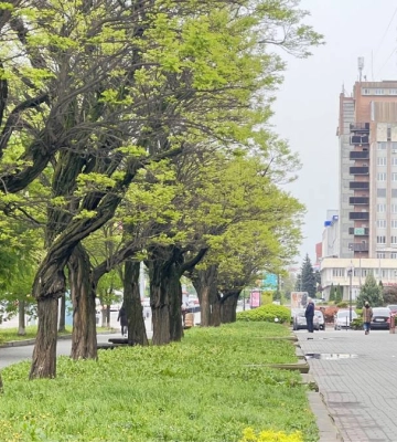 Хмарно та заморозки: погода на Франківщині 20 квітня