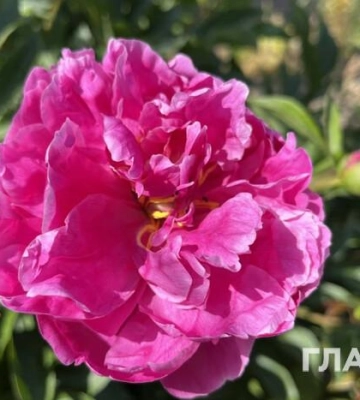 Хмарно з проясненнями: прогноз погоди на 20 квітня