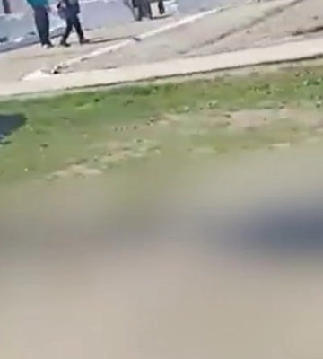 Партизани виявили склад зі зброєю у підвалі школи в окупованій Новоолексіївці на Херсонщині