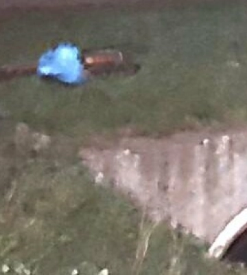 Поліція розшукує водія, який збив 13-річну дівчину на Львівщині