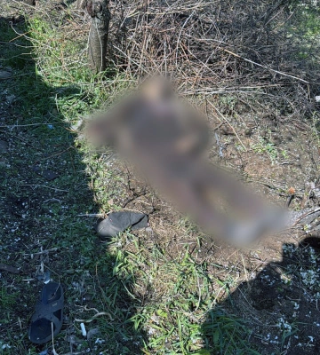 Рашисти обстріляли Вовчанськ, є загиблий та поранена. ФОТО