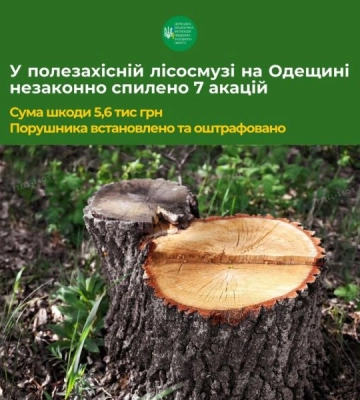 На Одещині незаконно вирубали дерева