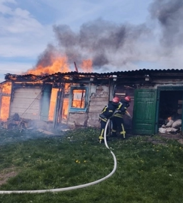 На Волині серед квітня виросли гриби (Фото)