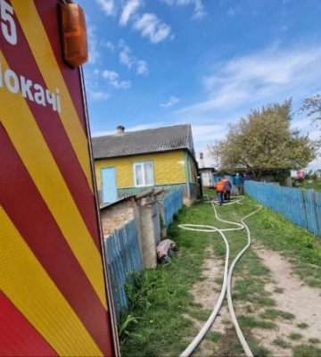 На Волині серед квітня виросли гриби (Фото)