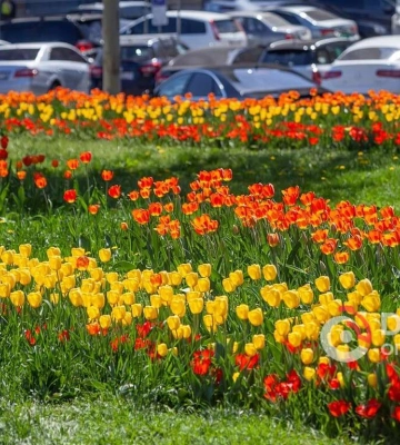 Погода та прикмети на сьогодні, 21 квітня 2023 року