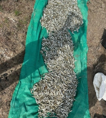 На лимані в Одеській області спіймали браконьєра