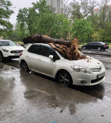 «Деревопад» в Одесі: на проспекті Гагаріна накрило два автомобілі (фотофакт)