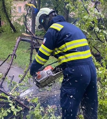 На Черкащині прибирали дерева, що через негоду впали на проїжджі частини (ФОТО)