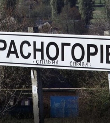 Окупанти зайняли 30% міста Красногорівка у Донецькій області – Bild