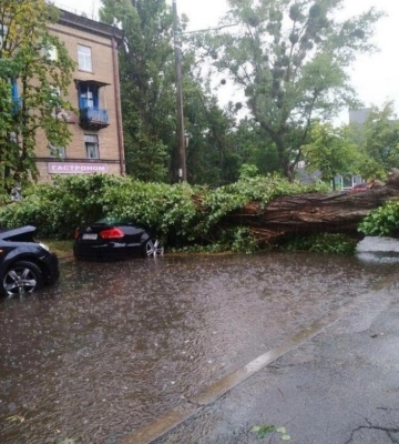 У Києві затопило вулиці і вирвало дерева з корінням (ФОТО)