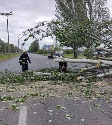 На Дніпропетровщині надзвичайники після негоди прибирали повалені дерева
