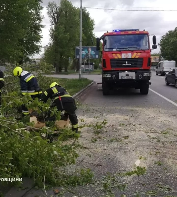 Негода у Дніпрі та області: штормовий вітер повалив дерева на автошляхи
