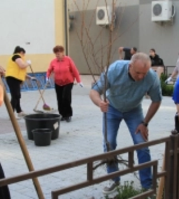 У Міжгір’ї на Закарпатті висадили сакури