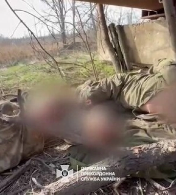 Прикордонники взяли у полон трьох окупантів на Донеччині. ВIДЕО