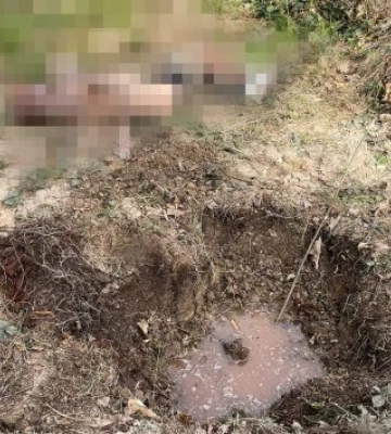 Вбили знайомого та закопали тіло у лісі – підозрюють двох чоловіків на Прикарпатті