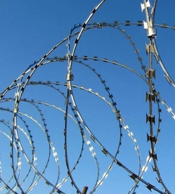 Уздовж річки Тиса встановили загородження з колючим дротом