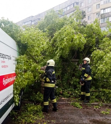 У Черкасах через негоду на МАФ і автомобіль впало дерево (ФОТО)