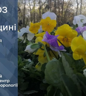 Найближчі дні в Україні будуть прохолодними, у середу в більшості областей дощі